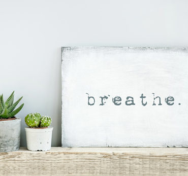 A sign next to a potted plant that says 'breathe.'