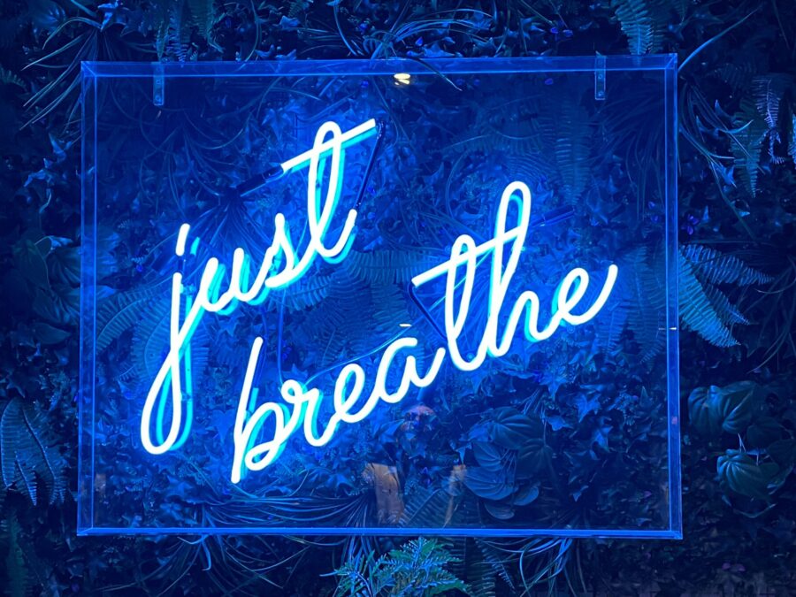 How to Use Your Breath to Regulate and Calm Your Nervous System